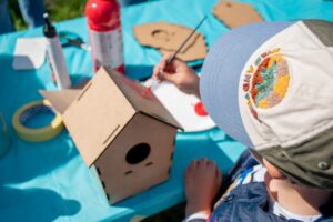 Rezolucija zemlja nS